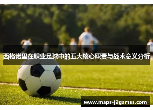 西格诺里在职业足球中的五大核心职责与战术意义分析